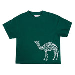 Printed Casual T.Shirt for Boys Image