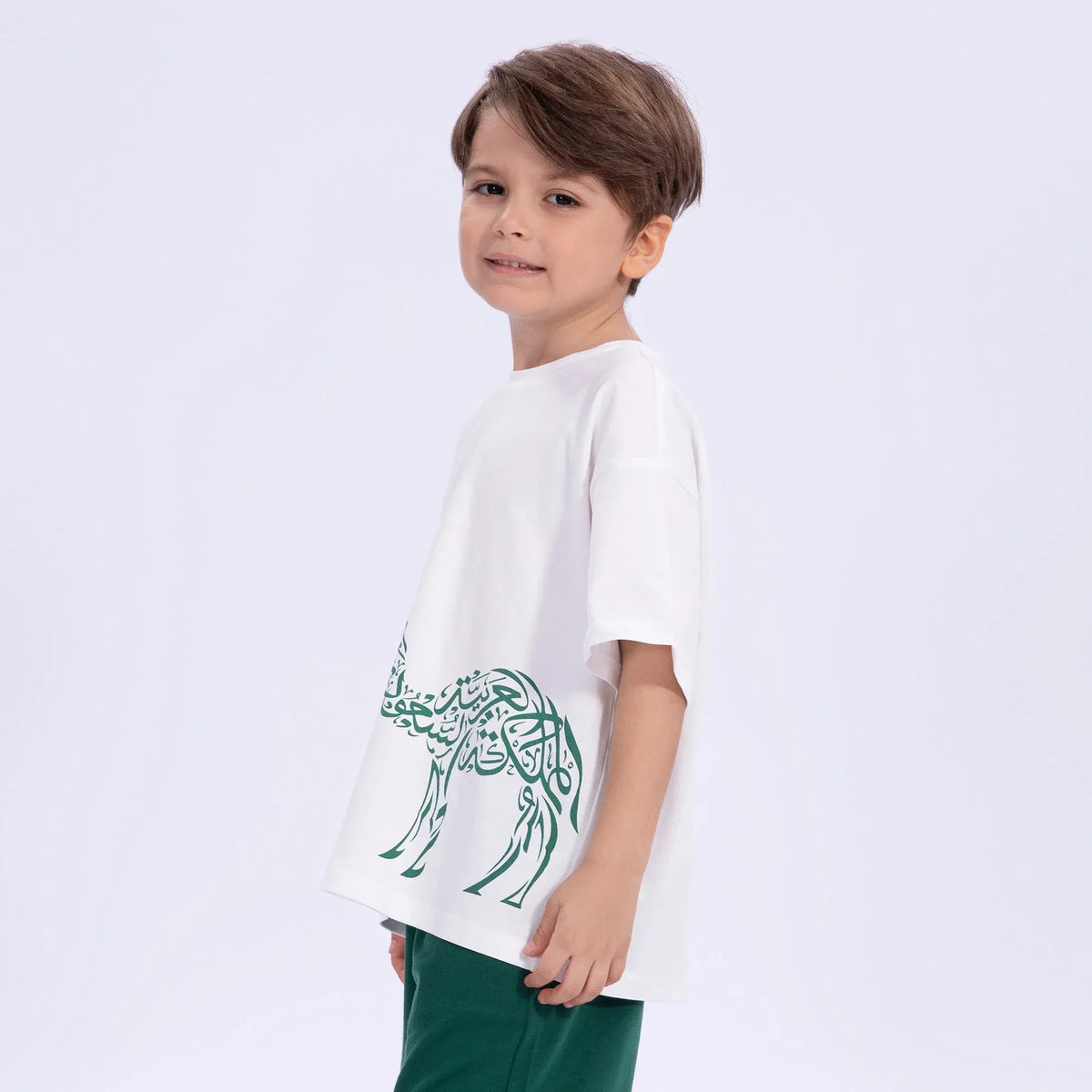 Printed Casual T.Shirt for Boys Image