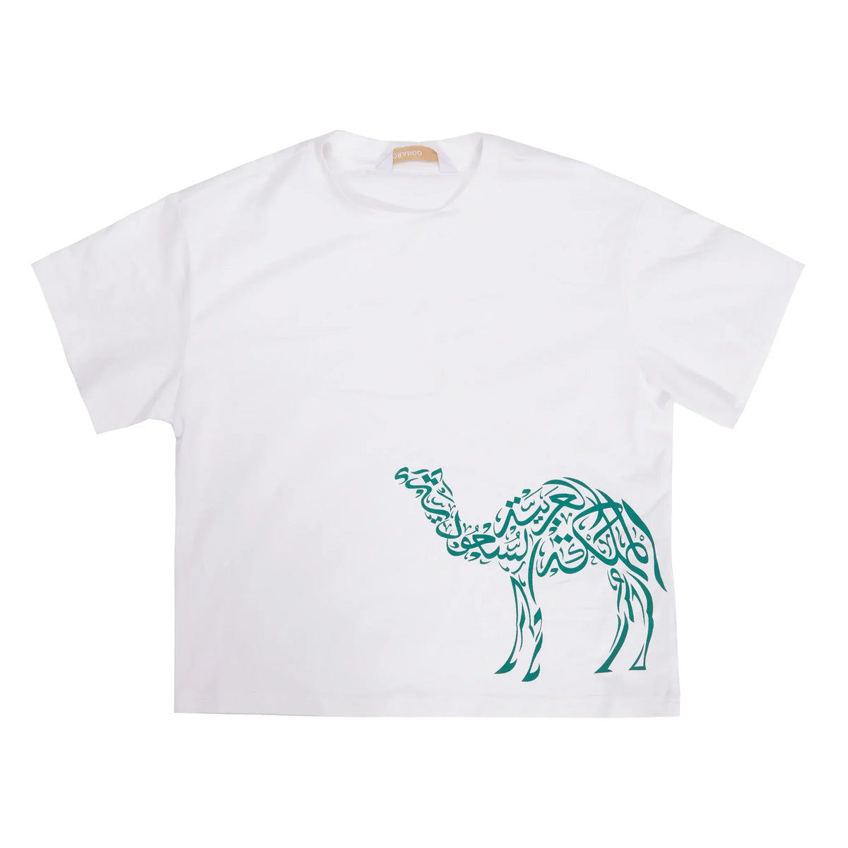 Printed Casual T.Shirt for Boys Image