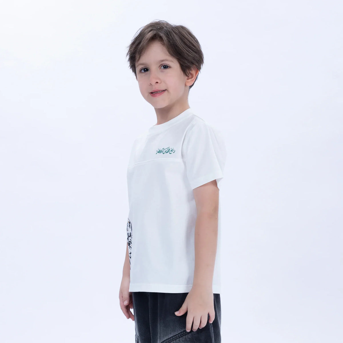Printed Casual T.Shirt for Boys Image