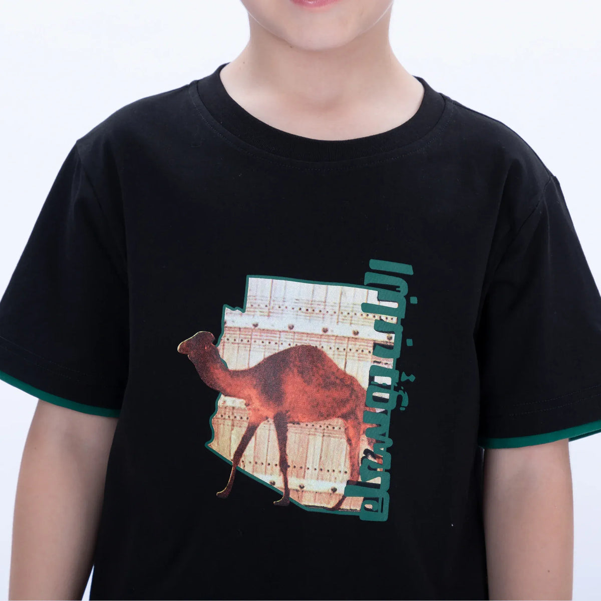 Printed Casual T.Shirt for Boys Image