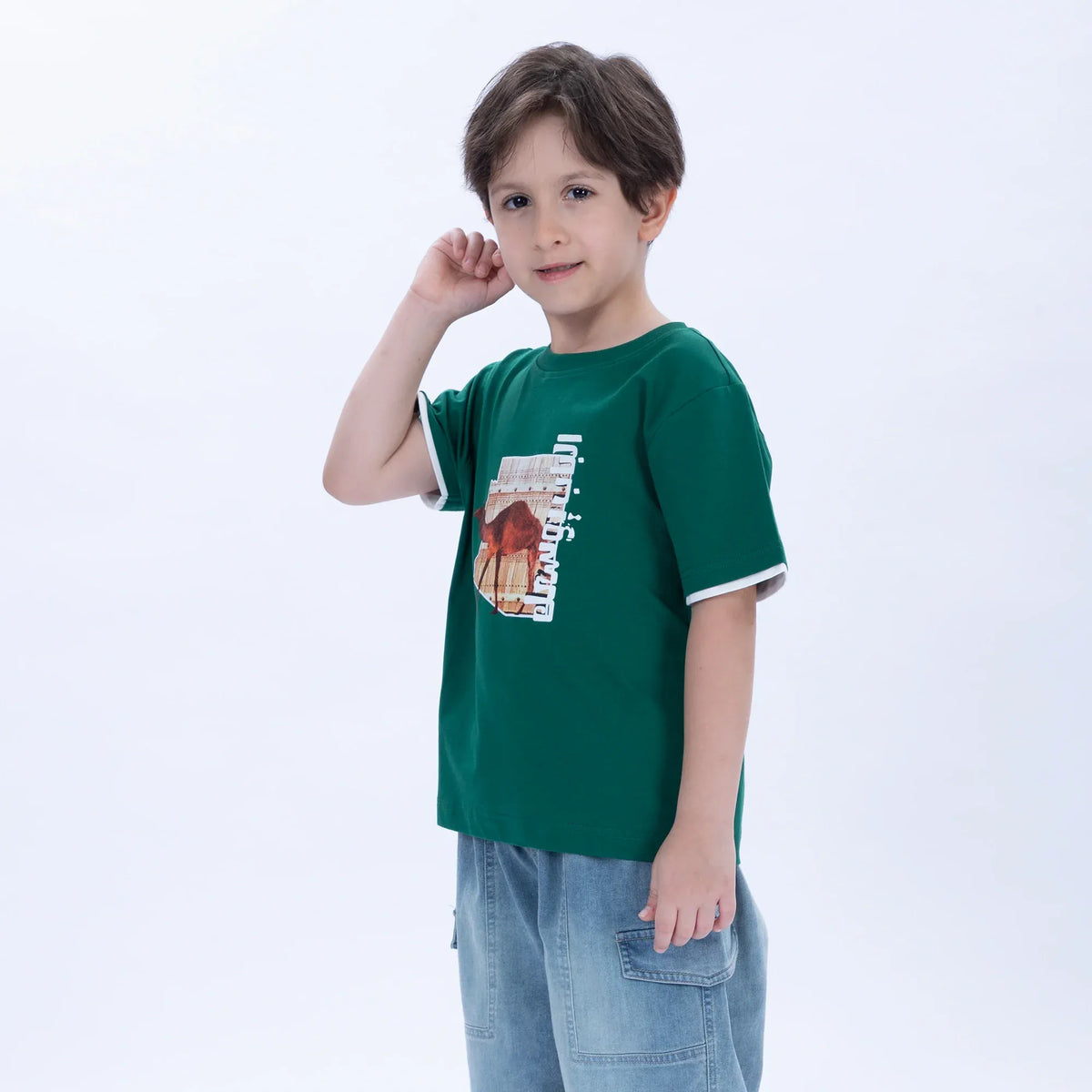 Printed Casual T.Shirt for Boys Image