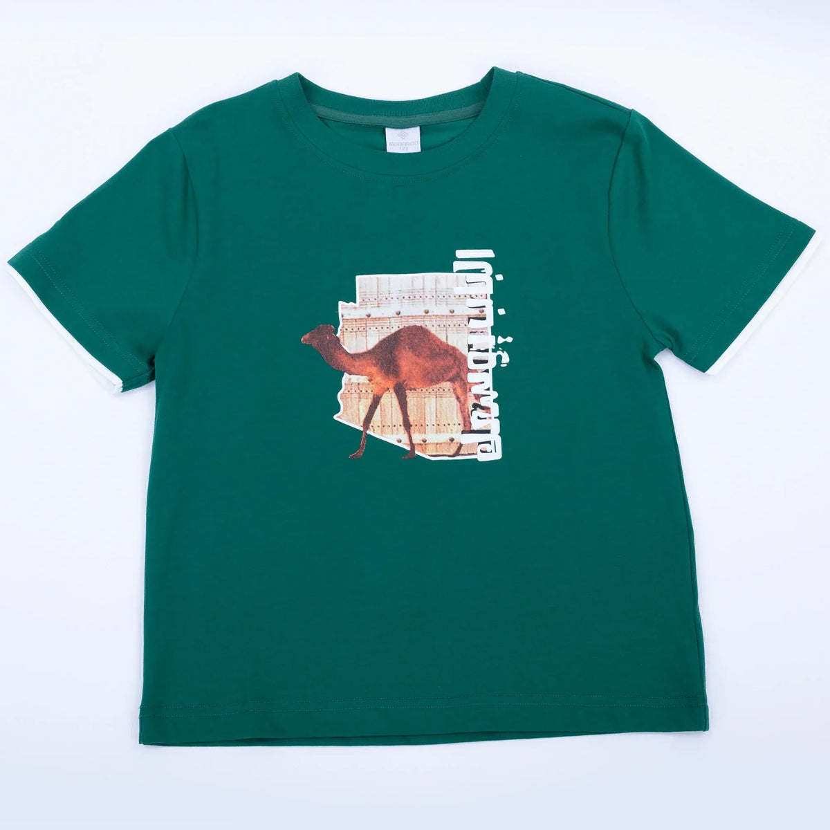 Printed Casual T.Shirt for Boys Image