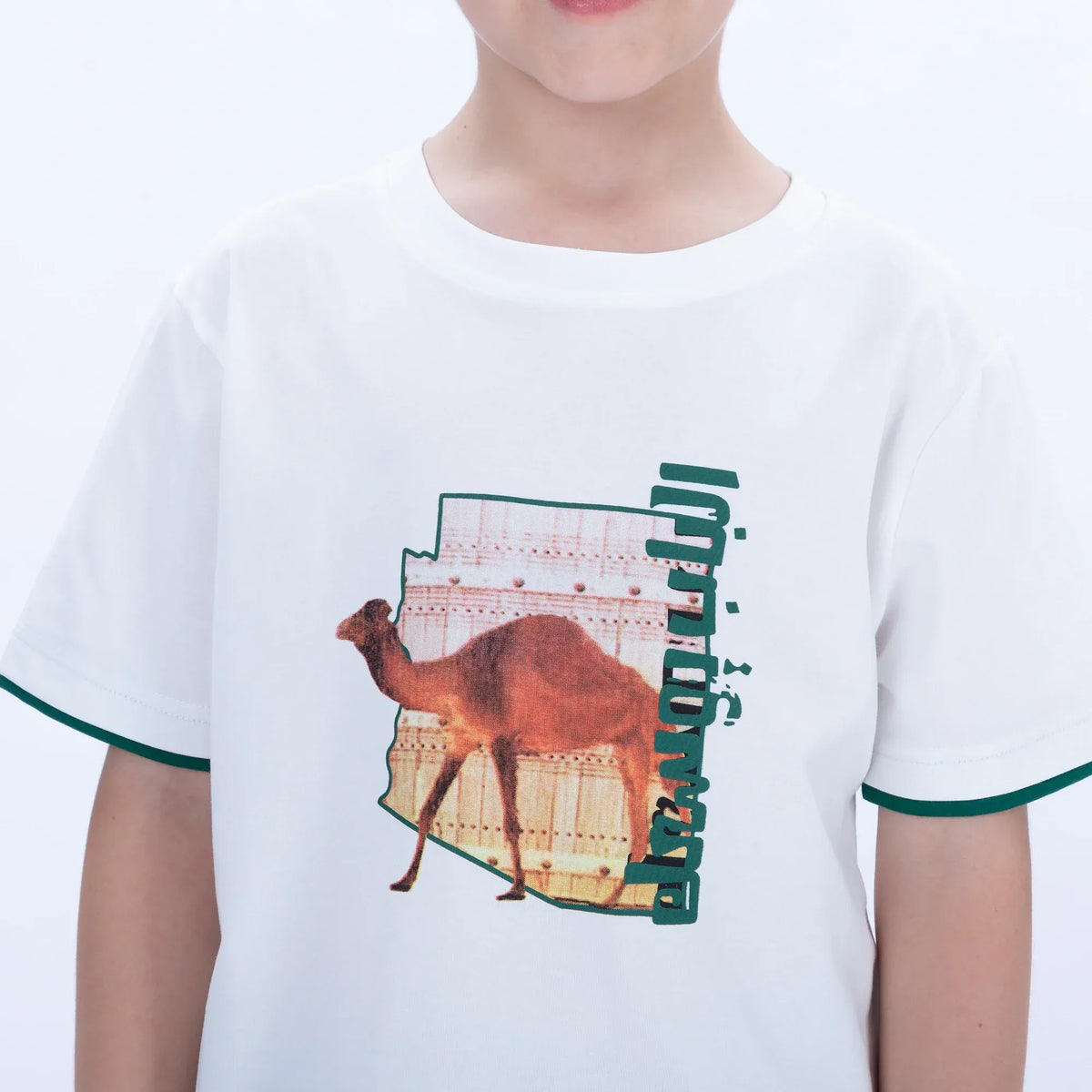 Printed Casual T.Shirt for Boys Image