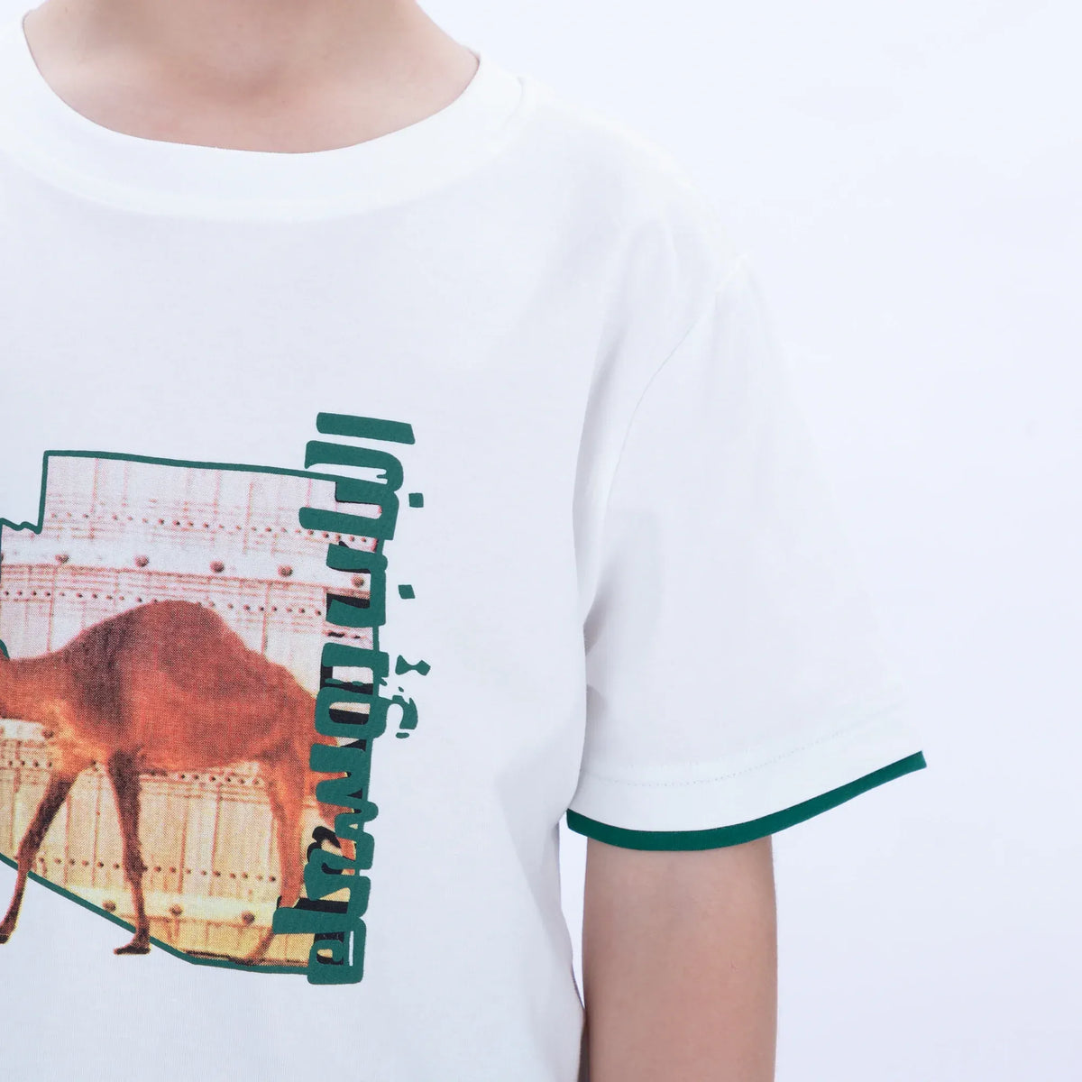 Printed Casual T.Shirt for Boys Image