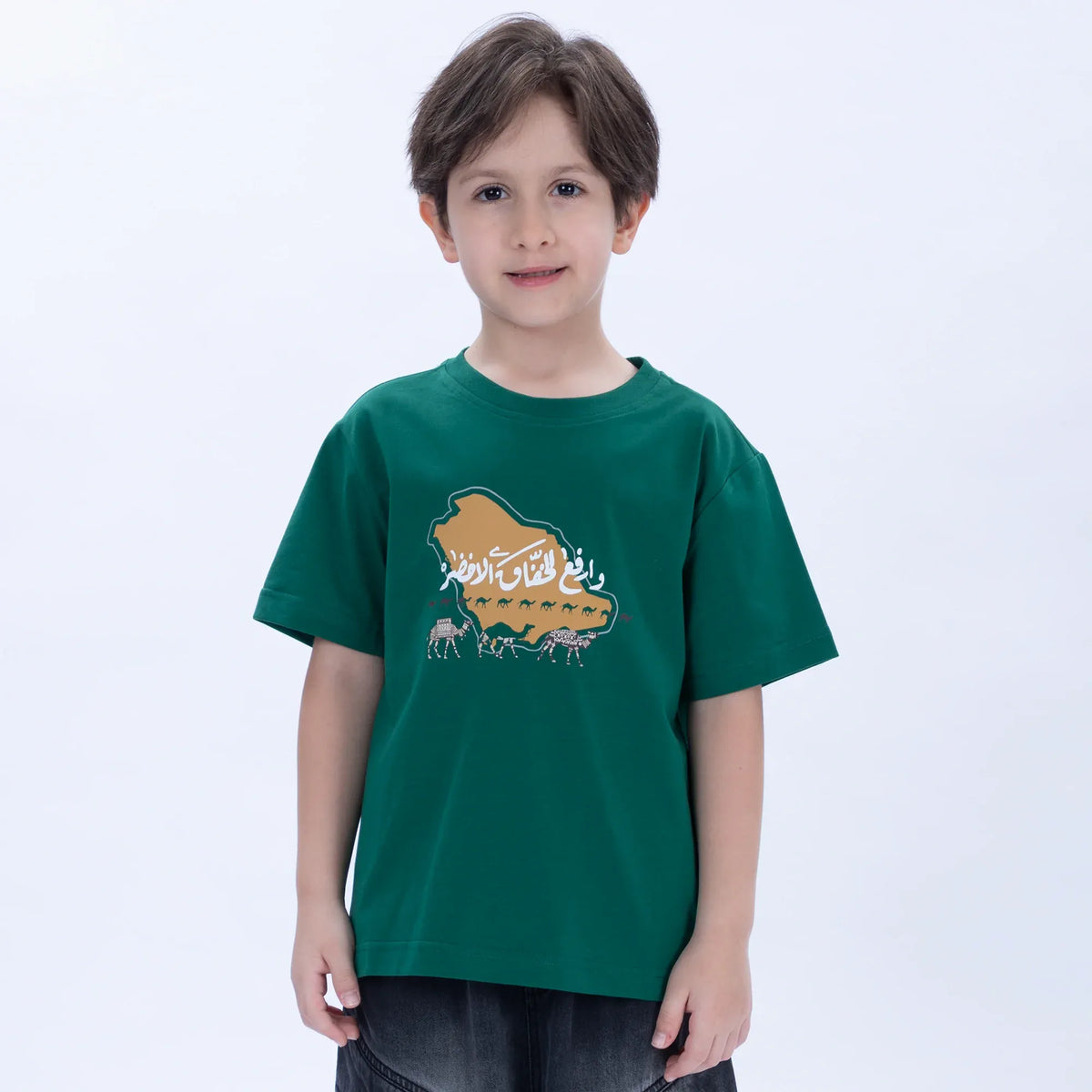 Green Printed Casual T.Shirt for Boys Image