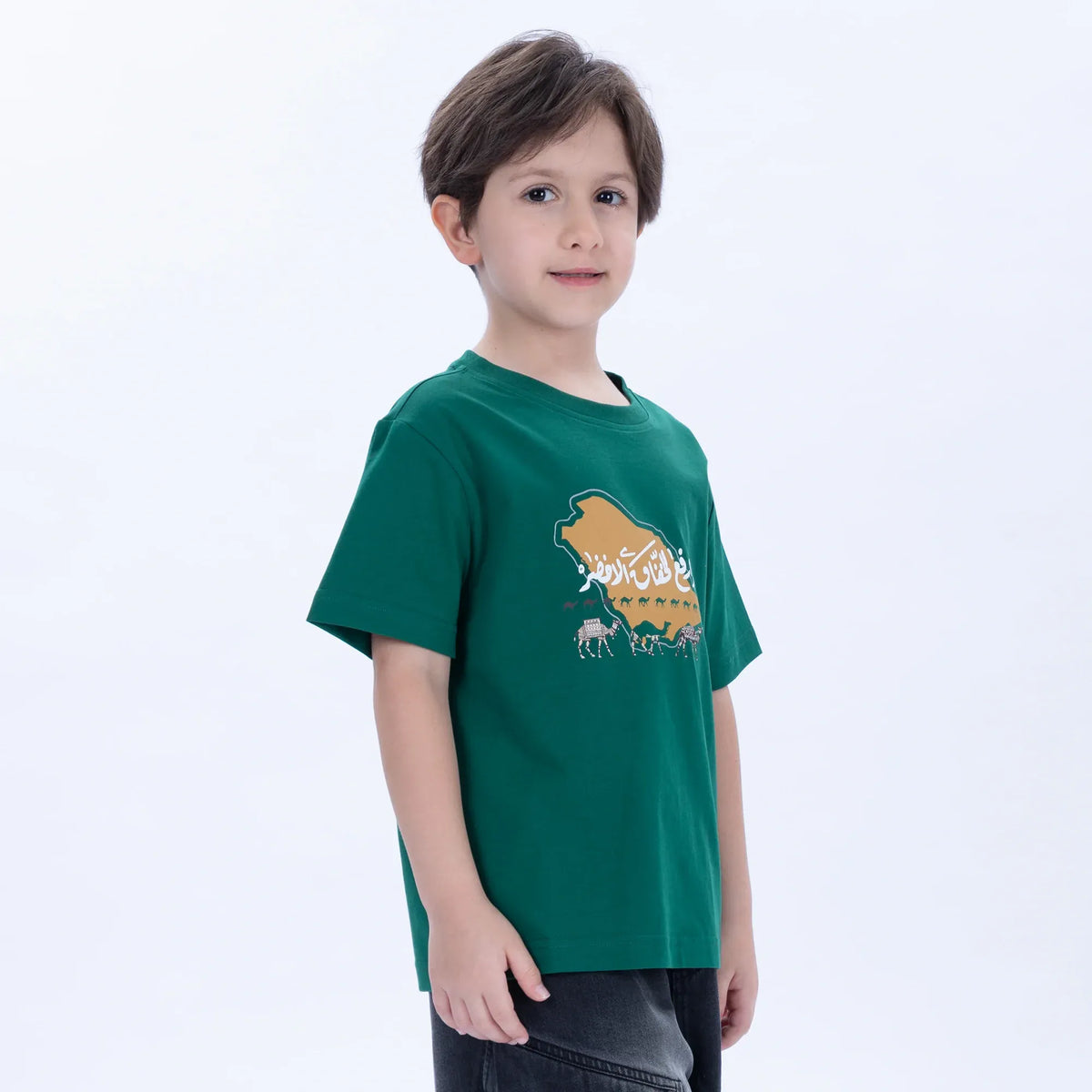 Printed Casual T.Shirt for Boys Image
