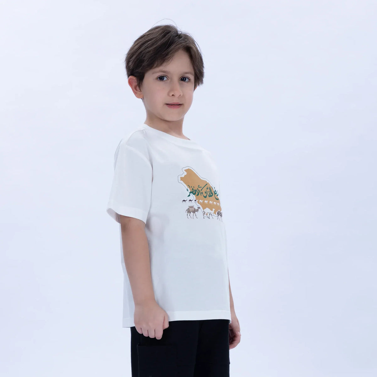Printed Casual T.Shirt for Boys Image