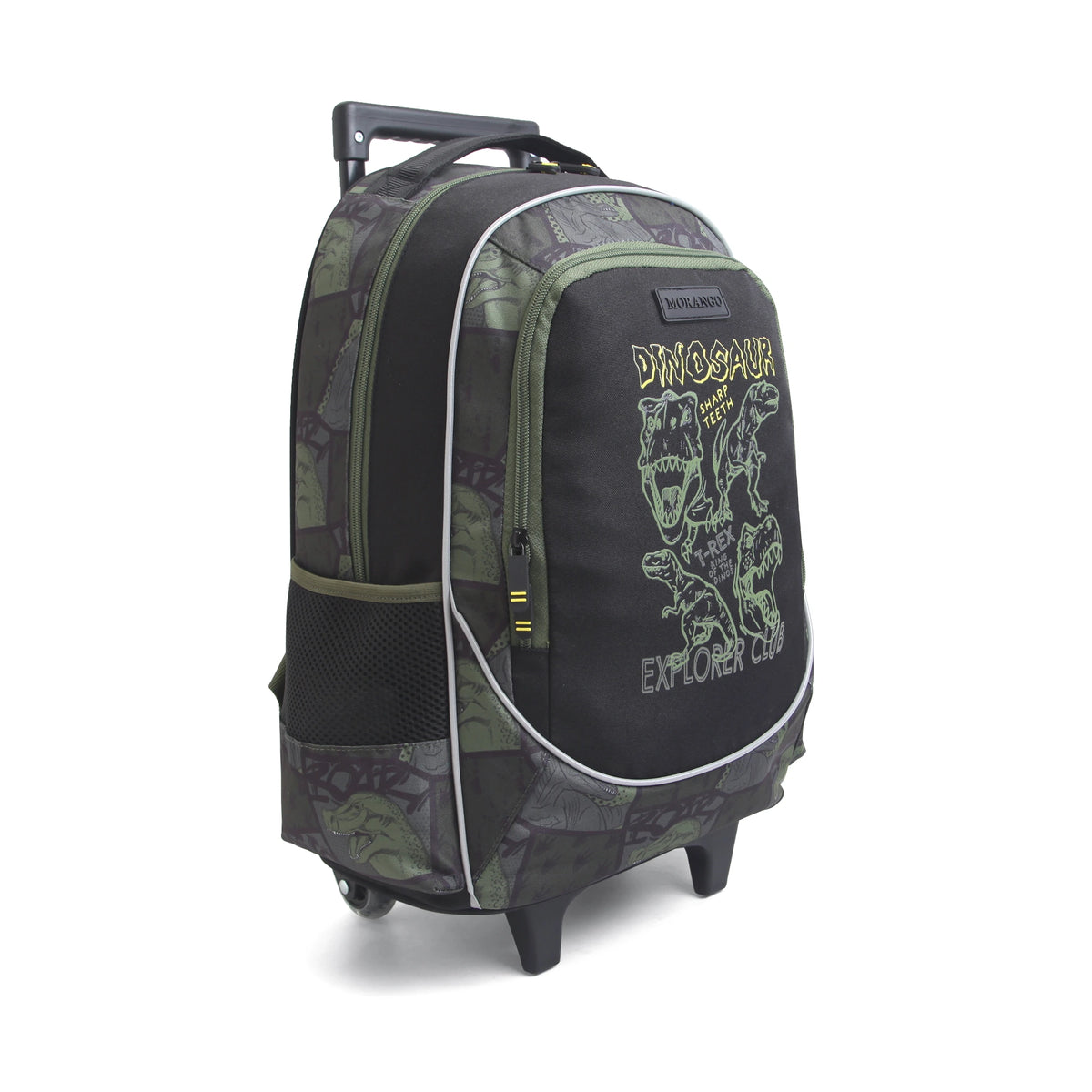 Trolley Backpack for Boys Image