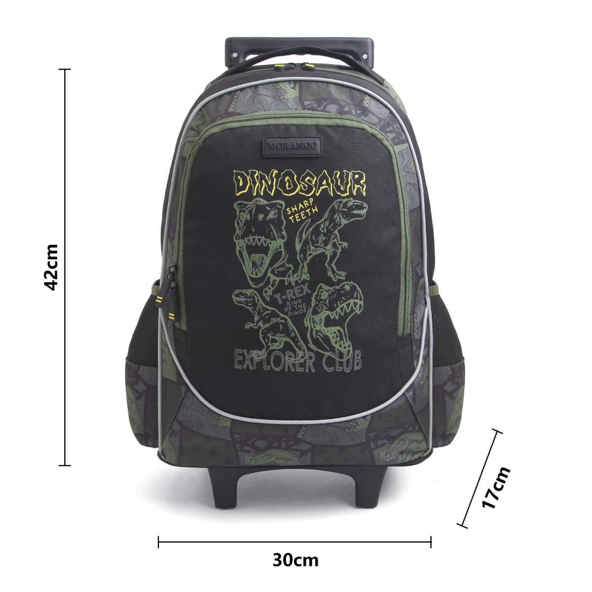 Trolley Backpack for Boys Image