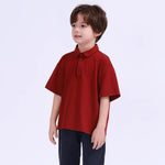 Plain Basic Polo Shirt For Boys Image