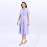 Collar Fashion Dress For Women Image