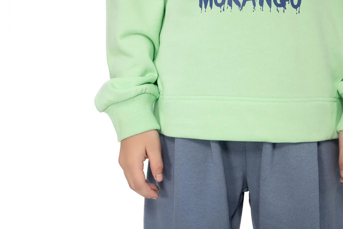 SPORTS PULLOVER FOR BOYS Image