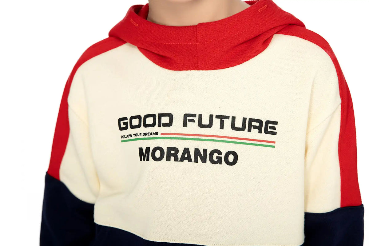 SPORTS PULLOVER FOR BOYS Image