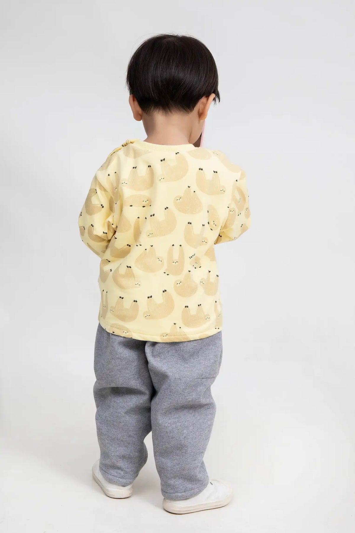 plain casual pullover for baby boys image