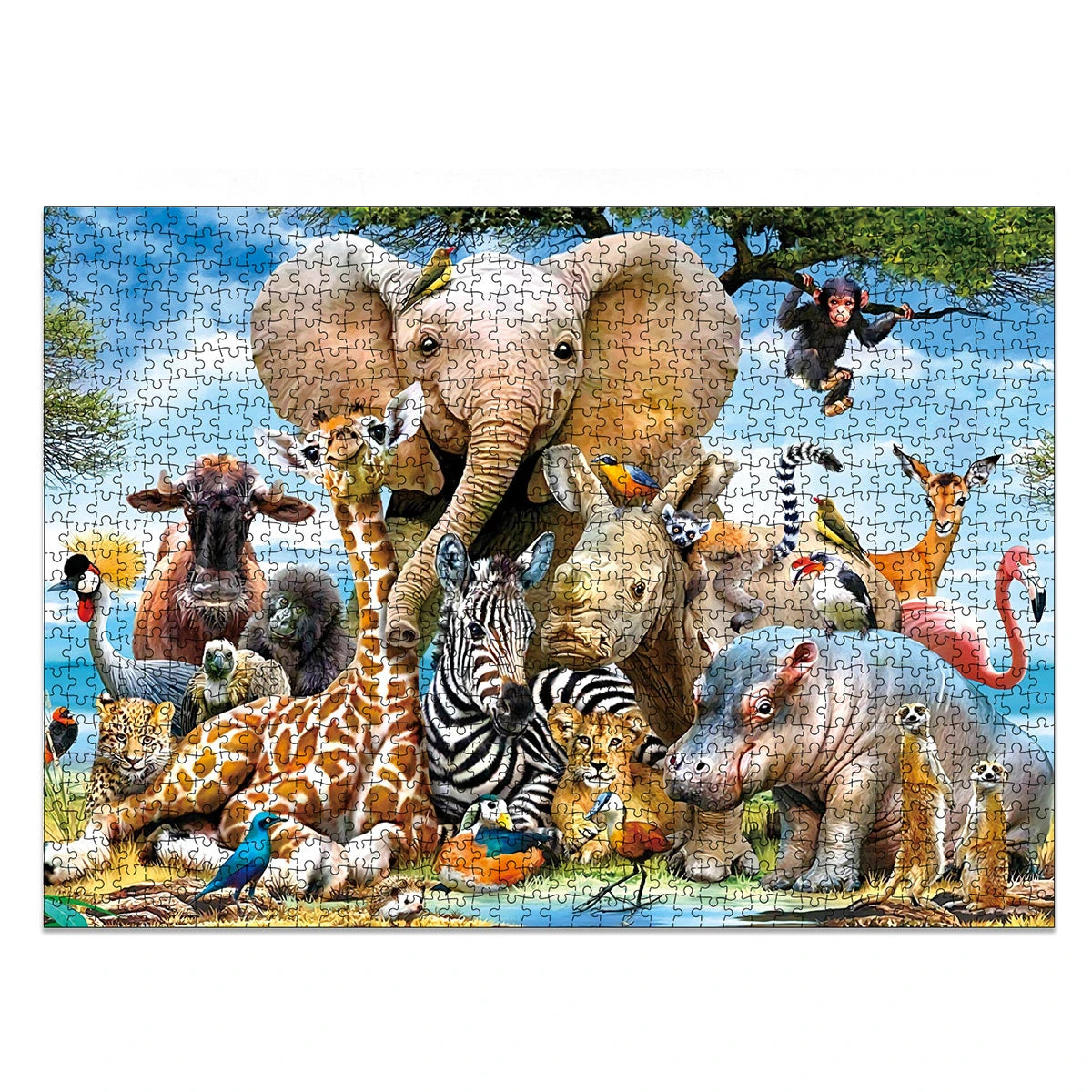 1000 Pcs Puzzle Puzzle