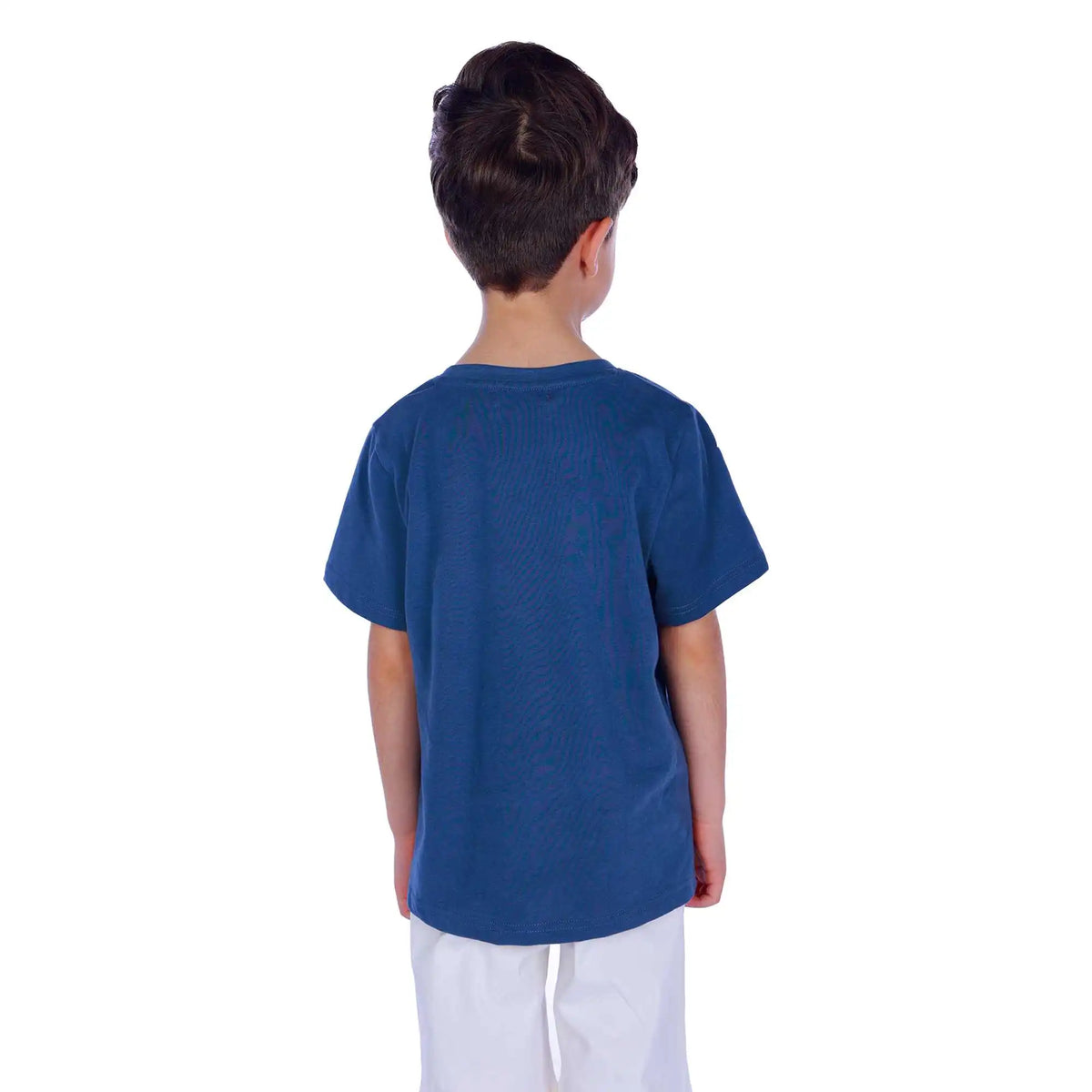 Printed Elegant T.Shirt For Boys Image