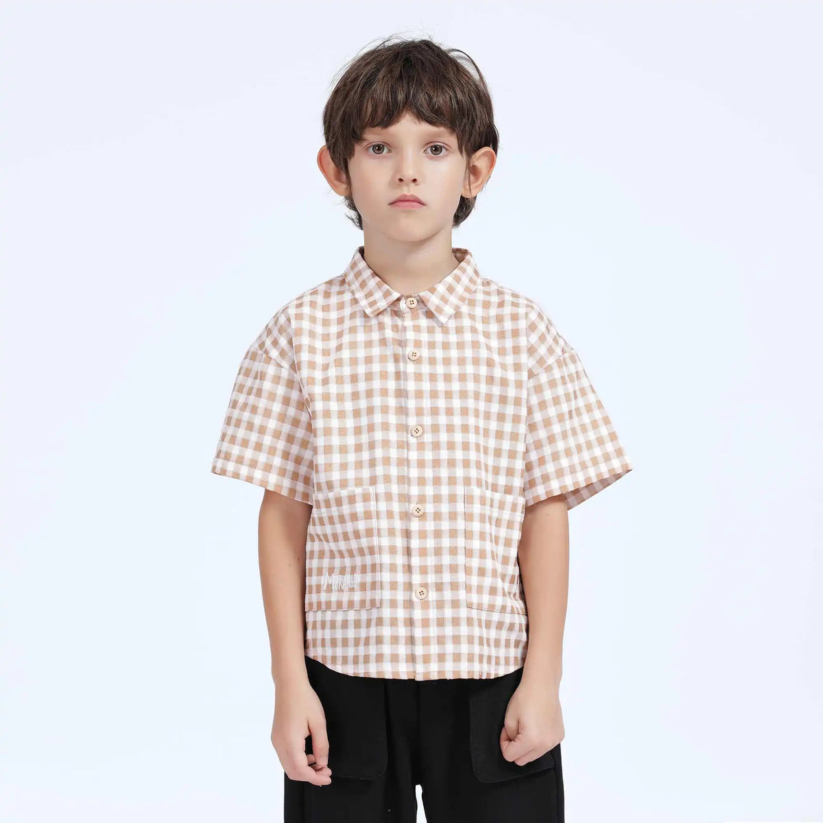 Checked Casual Shirt For Boys 100 | 3Y Brown Checks Image