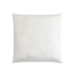 Cushion Space Travel Image