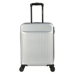 Silver Trolley Luggage Image