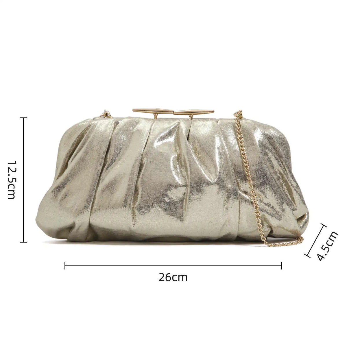 Evening Party Bag for Women