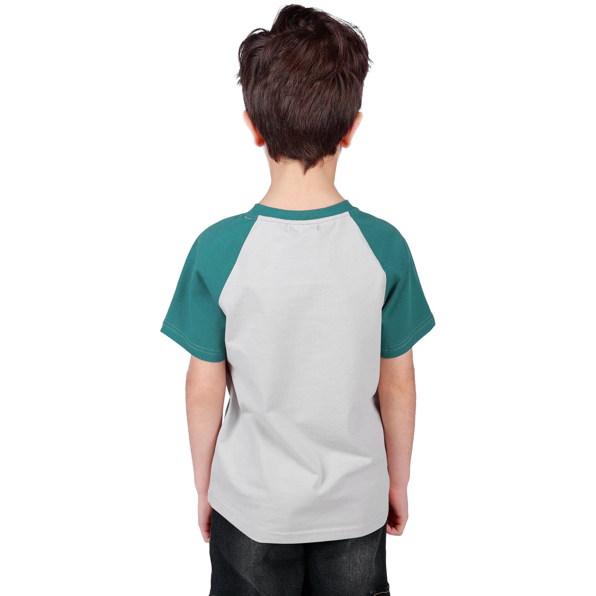 Printed Classic T.Shirt for Boys Image