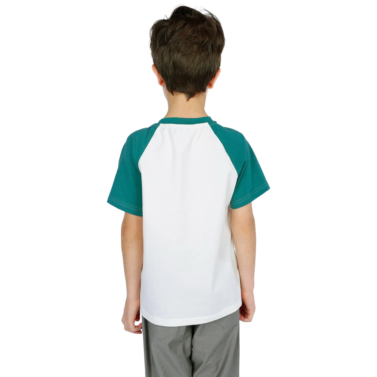 Printed Classic T.Shirt for Boys Image