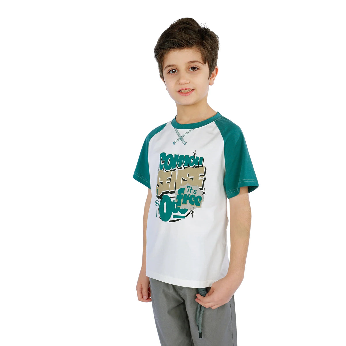 Printed Classic T.Shirt for Boys Image