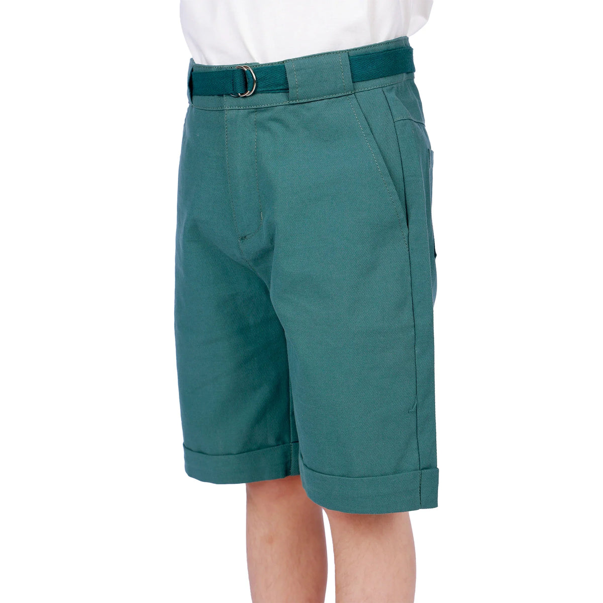 Plain Classic Shorts for Boys Image