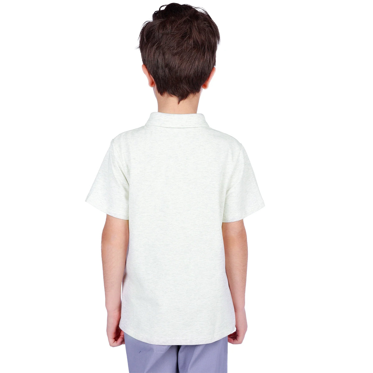 Printed Classic Polo Shirt for Boys Image