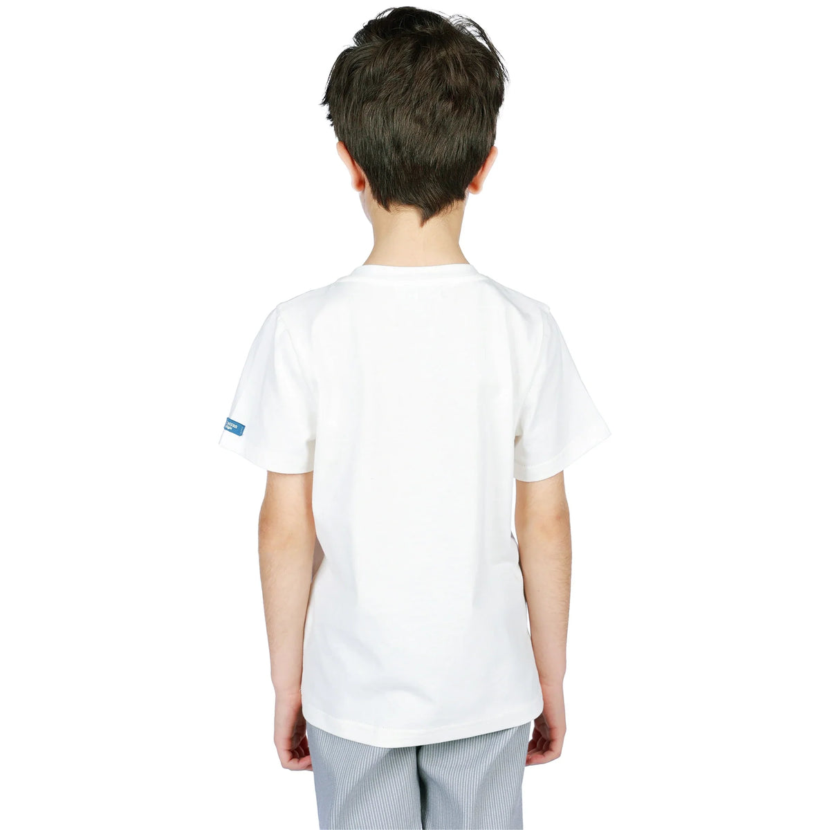 Printed Classic T.Shirt for Boys Image