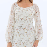 Laced Fashion Dress for Women Image