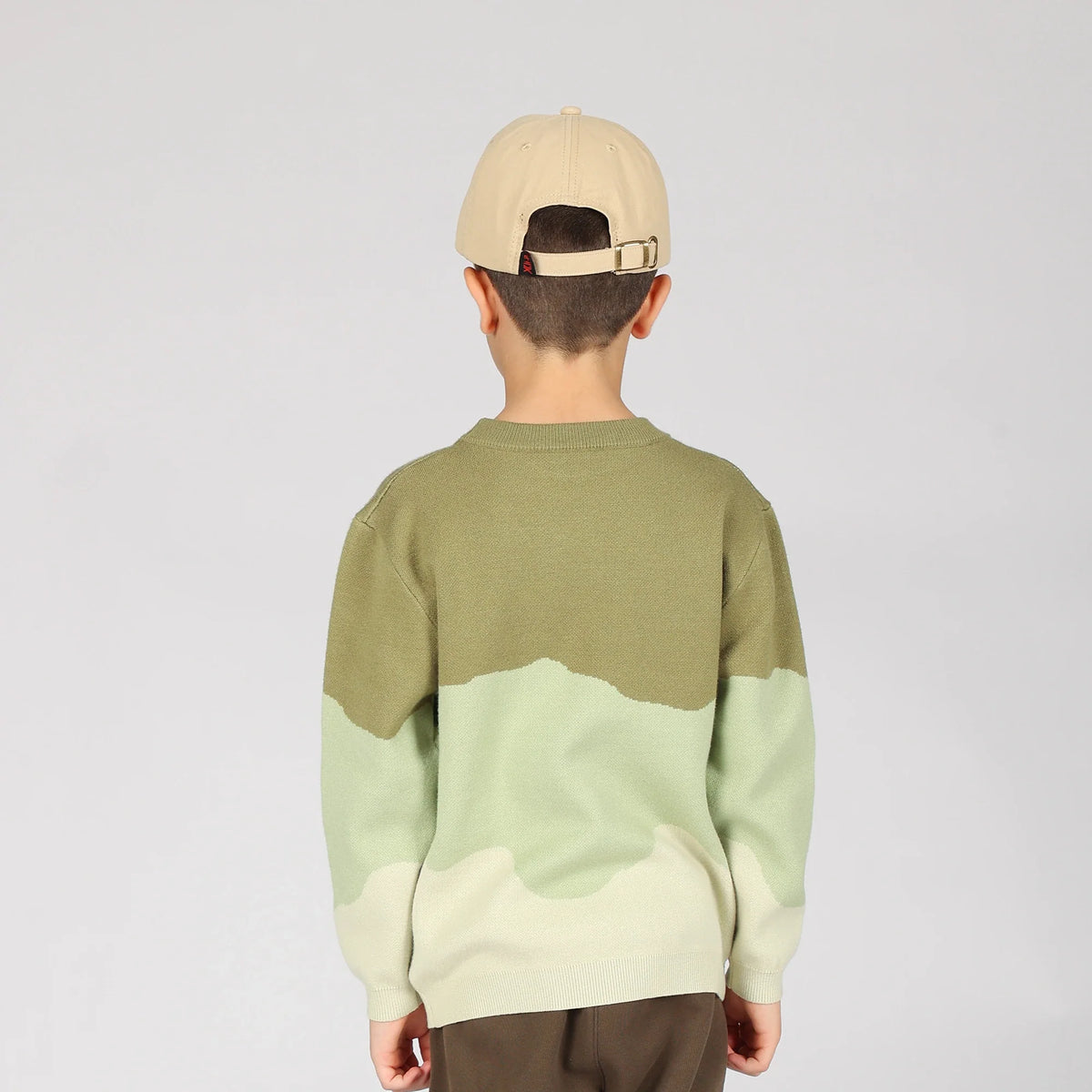 sweater-for-boys-6943003091 Green image