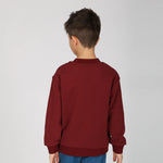 Pullover for Boys Image