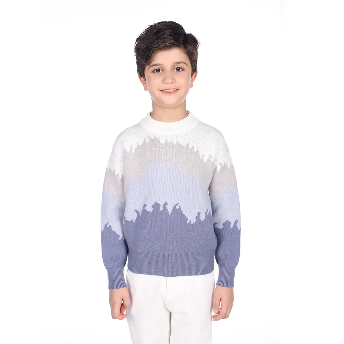 sweater-for-boys-6943004081 Blue image