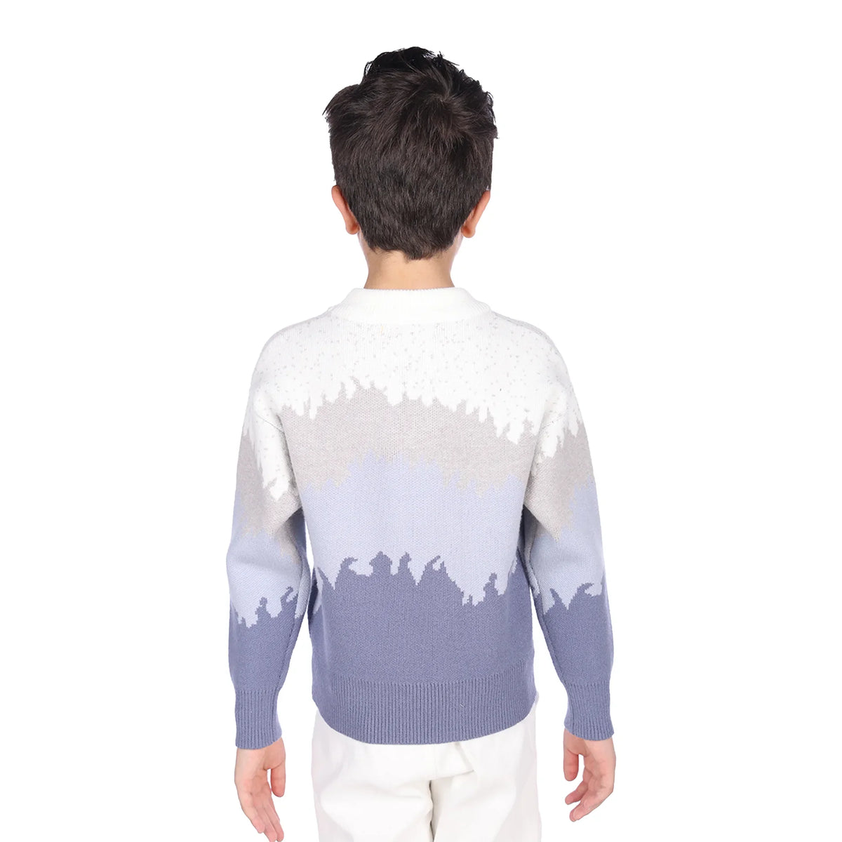 sweater-for-boys-6943004081 Blue image