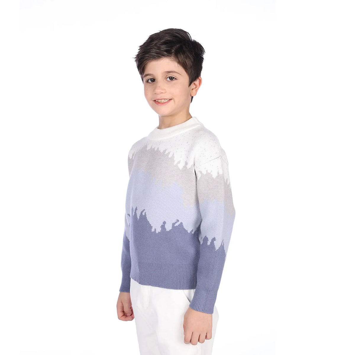 sweater-for-boys-6943004081 Blue image