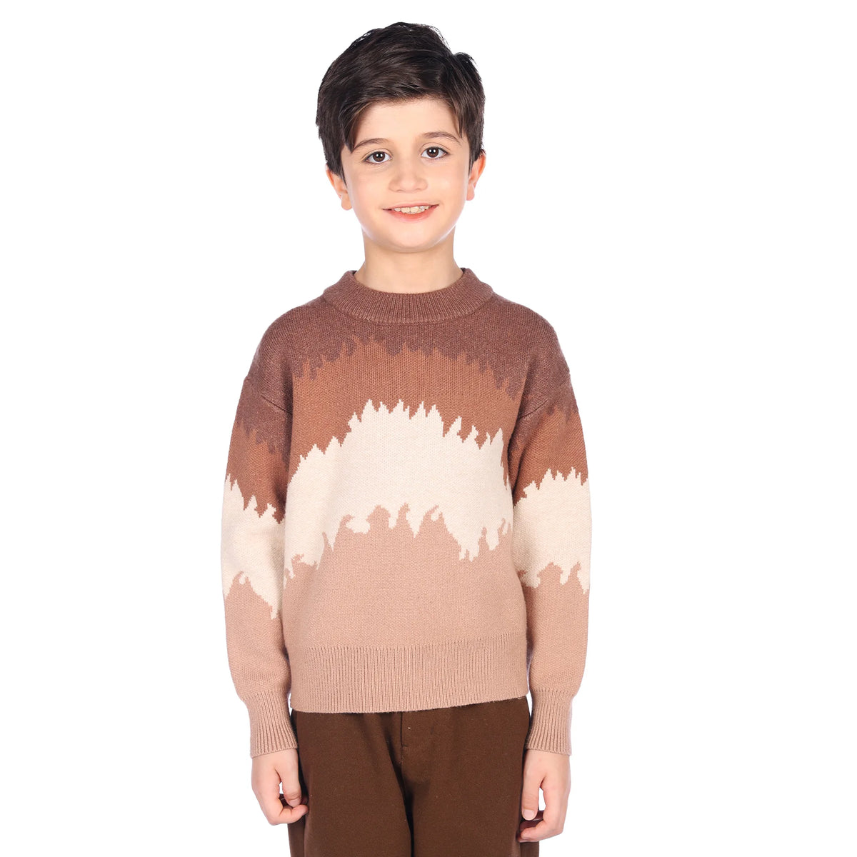 sweater-for-boys-6943004081 Khaki image