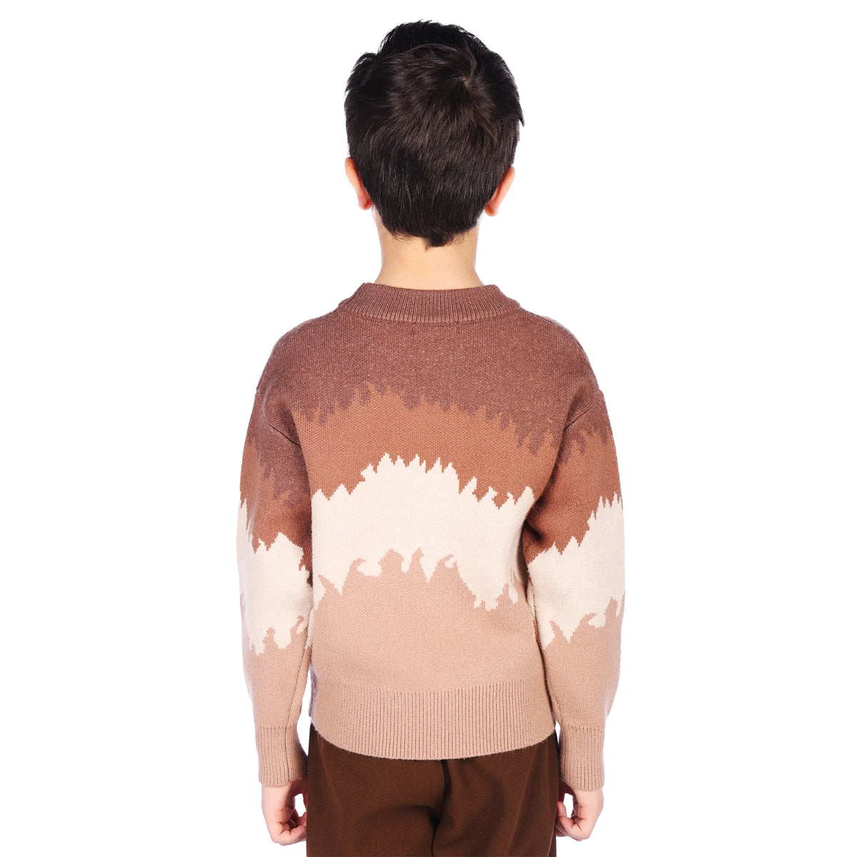 sweater-for-boys-6943004081 Khaki image