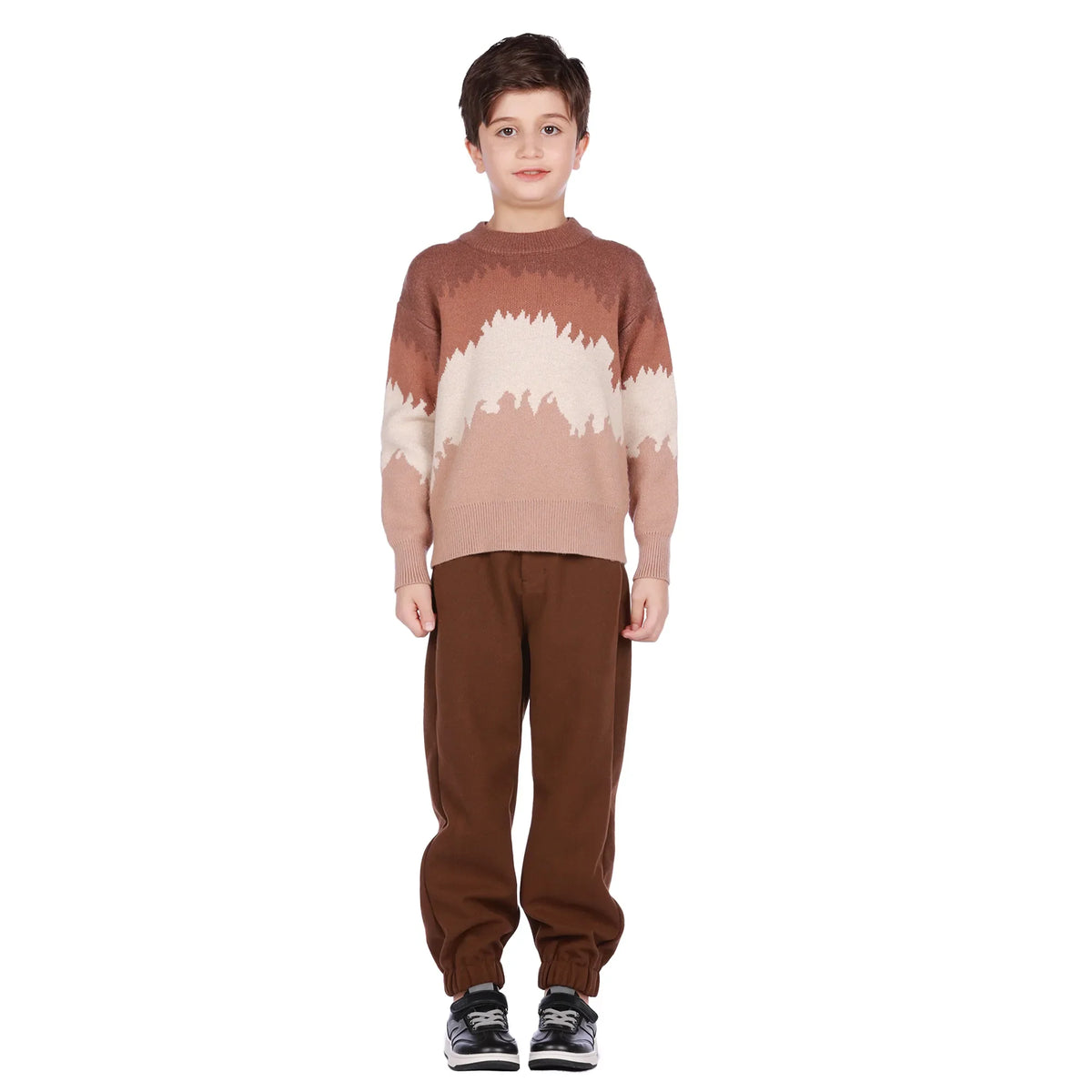 sweater-for-boys-6943004081 Khaki image