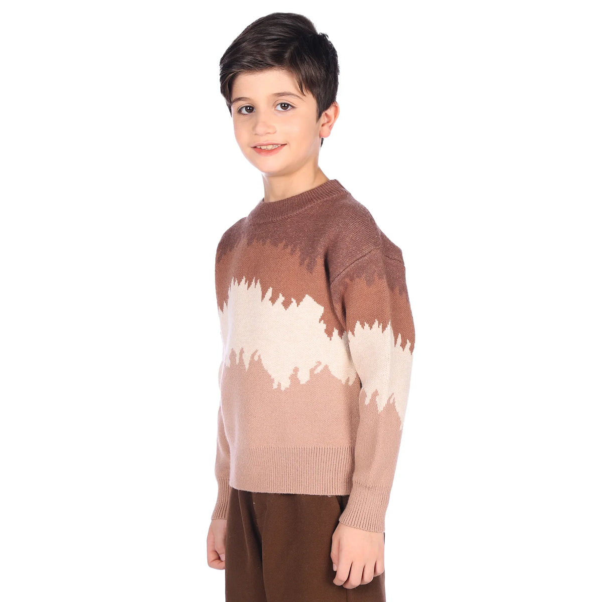 sweater-for-boys-6943004081 Khaki image