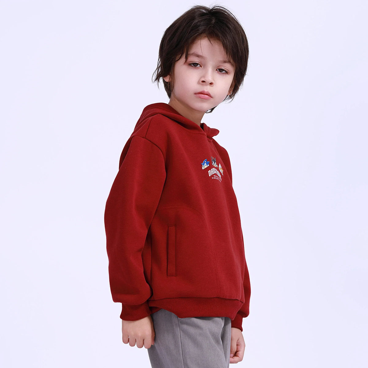 printed-pullover-for-boys-6943015016 image