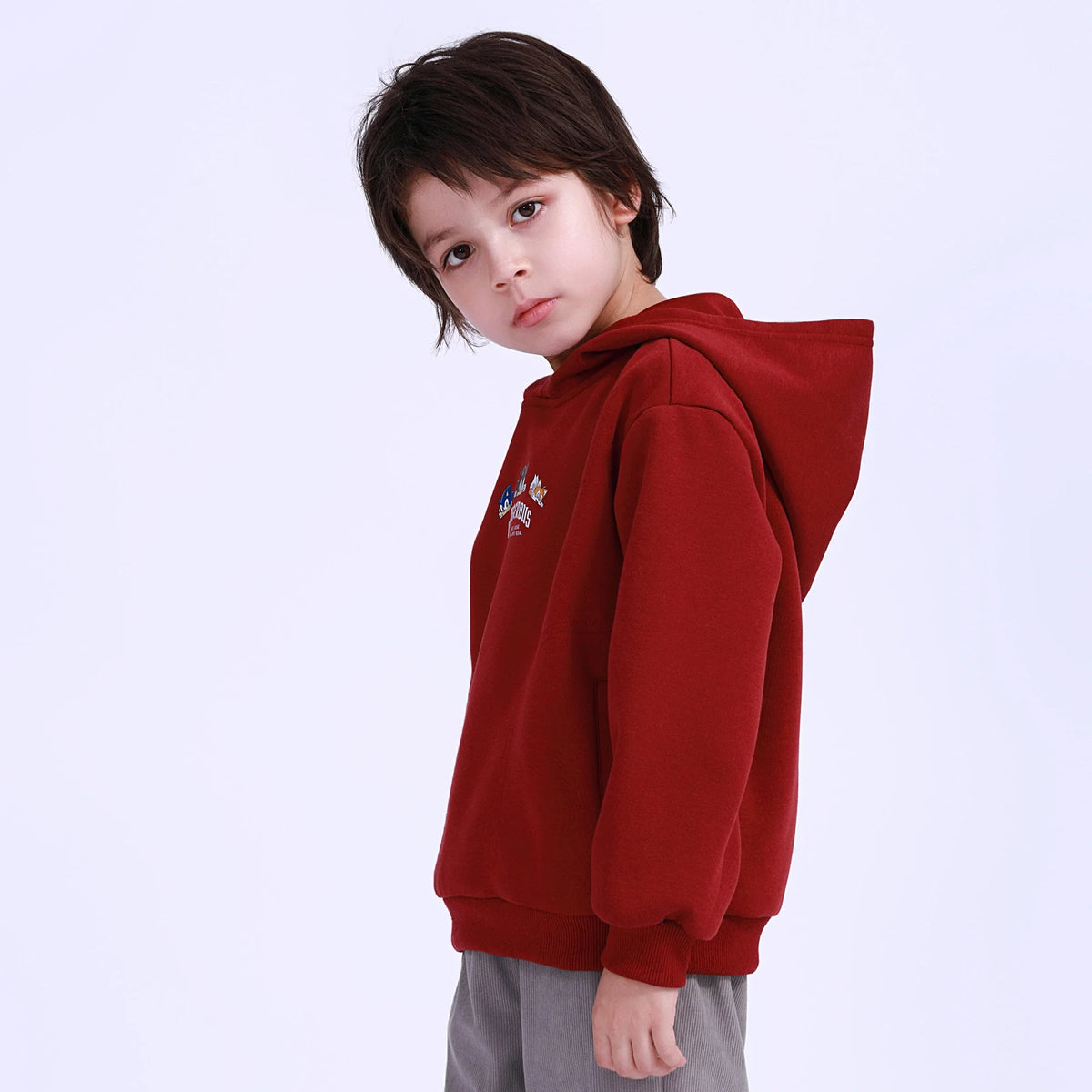 printed-pullover-for-boys-6943015016 image