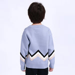 Color-Blocked Sweater for Boys Image