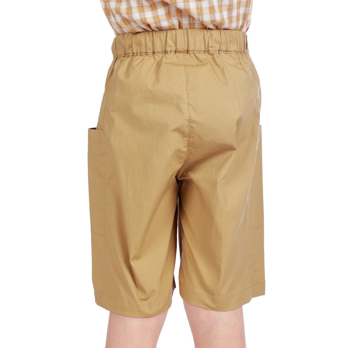 Ordinary Classic Shorts For Boys Image