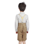 Ordinary Formal Shorts For Boys Image