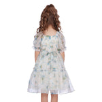 Floral Classic Dress For Girls Image