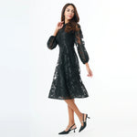 Fashion Dress for Women Image