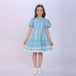 Light Blue Embroidery Dress for Girls Image