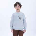 Casual Embroidery Sweater for Boys Image